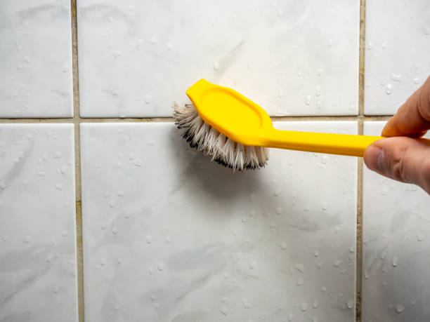 Best Home Mold Removal  in Enid, OK