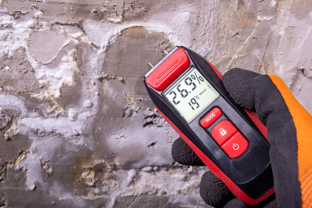 Best Mold Damage Repair  in Enid, OK