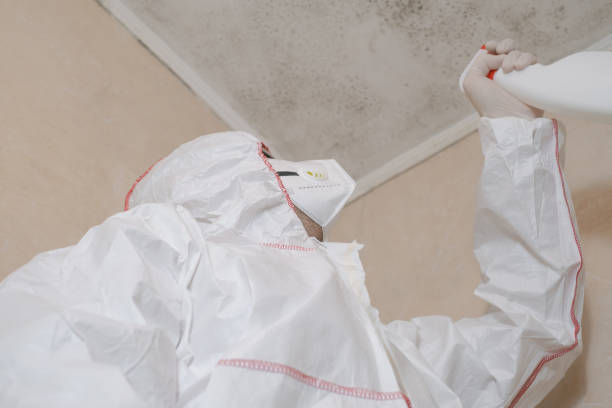 Office Mold Removal Services in Enid, OK
