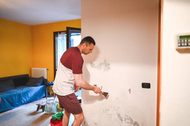 Best Best Mold Removal Companies  in Enid, OK