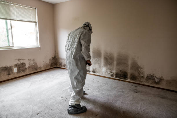 Water Damage Restoration in Enid, OK